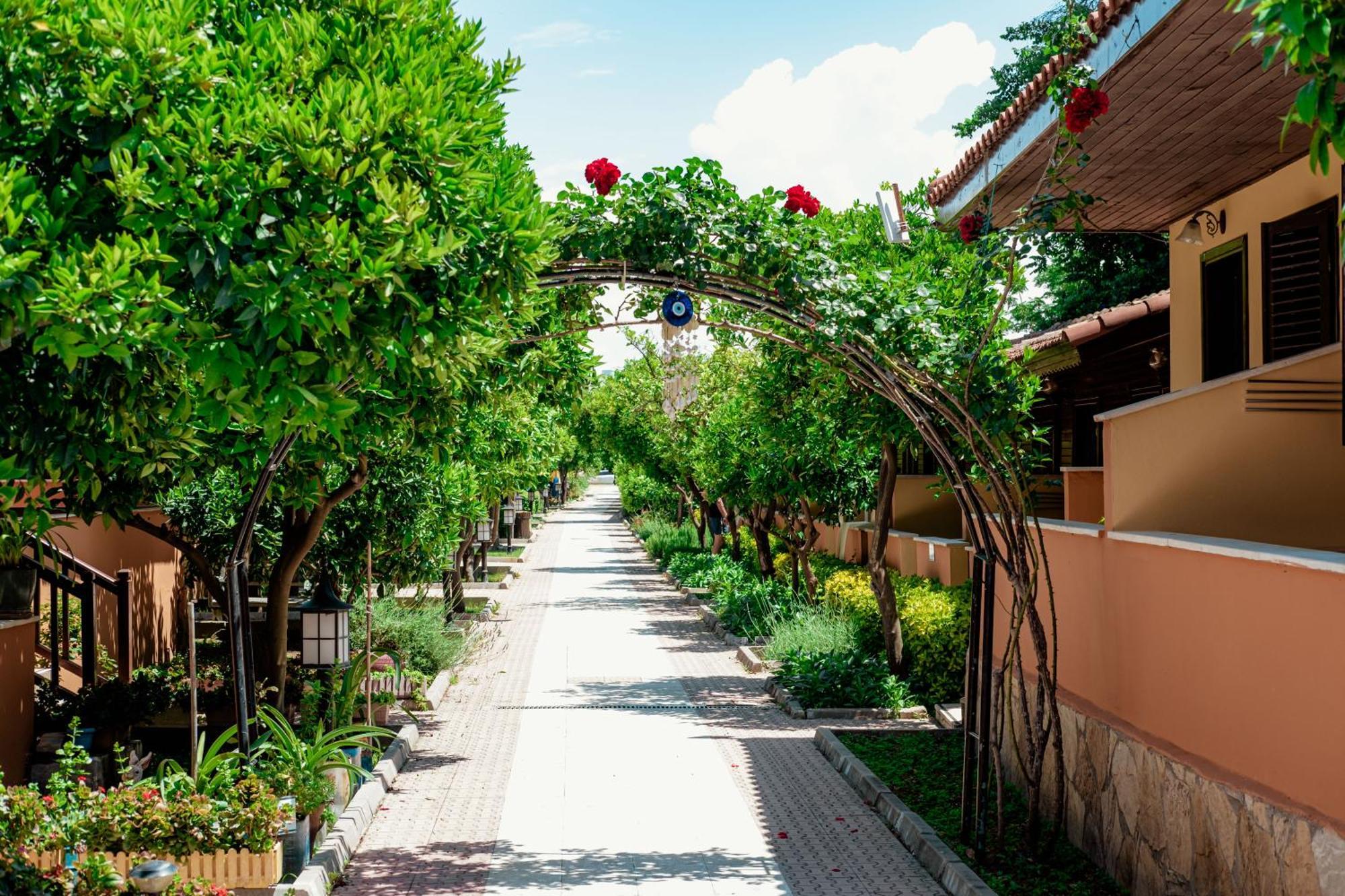 Ozlem Garden Hotel Side Zewnętrze zdjęcie