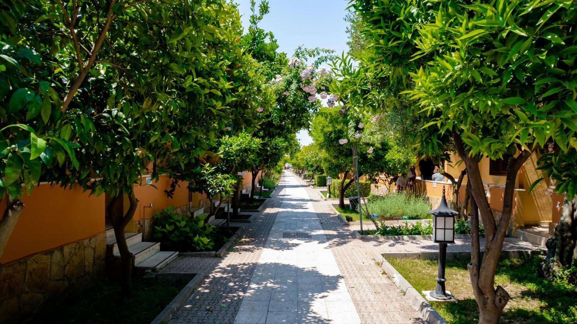 Ozlem Garden Hotel Side Zewnętrze zdjęcie